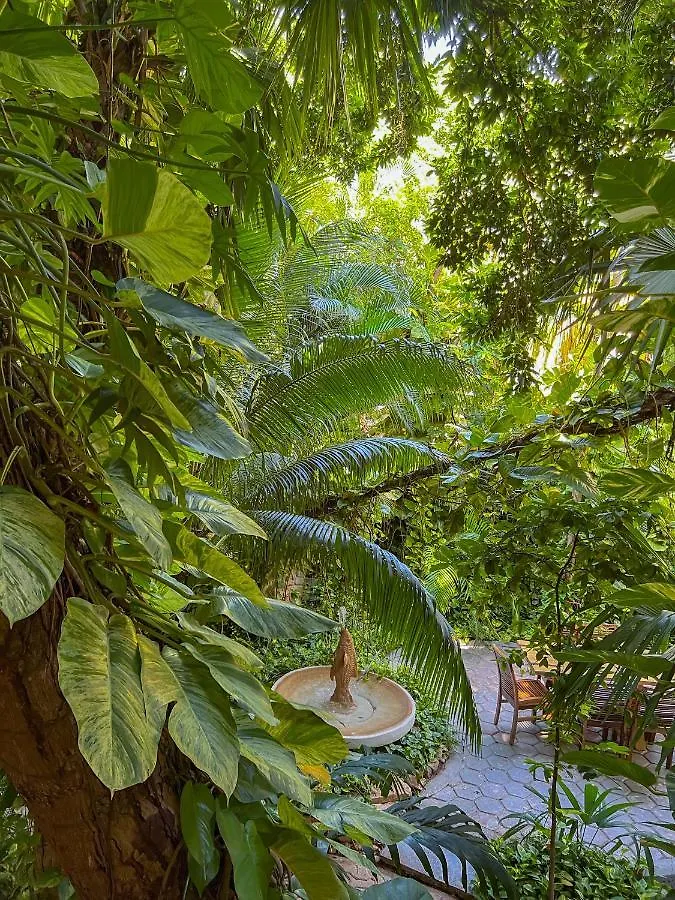 Casita Del Mar Apartment Playa del Carmen