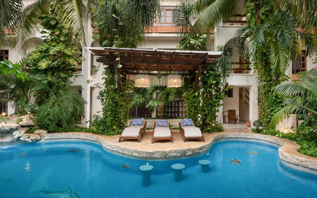 Casita Del Mar Apartment Playa del Carmen 0*,  Mexico
